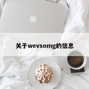 关于wevsomg的信息